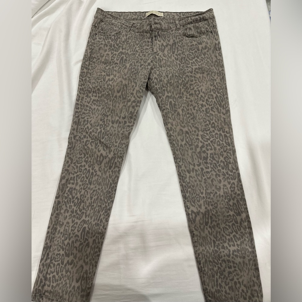 zara leopard pants
